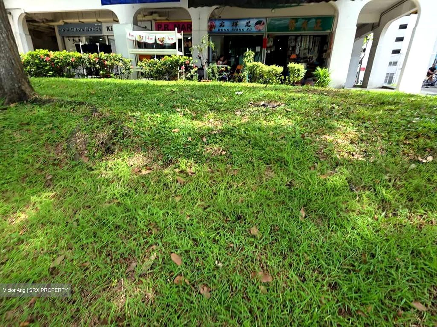 Yishun Ring Road (D27), Shop House #564600891